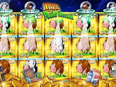 Poly Casino User Profile